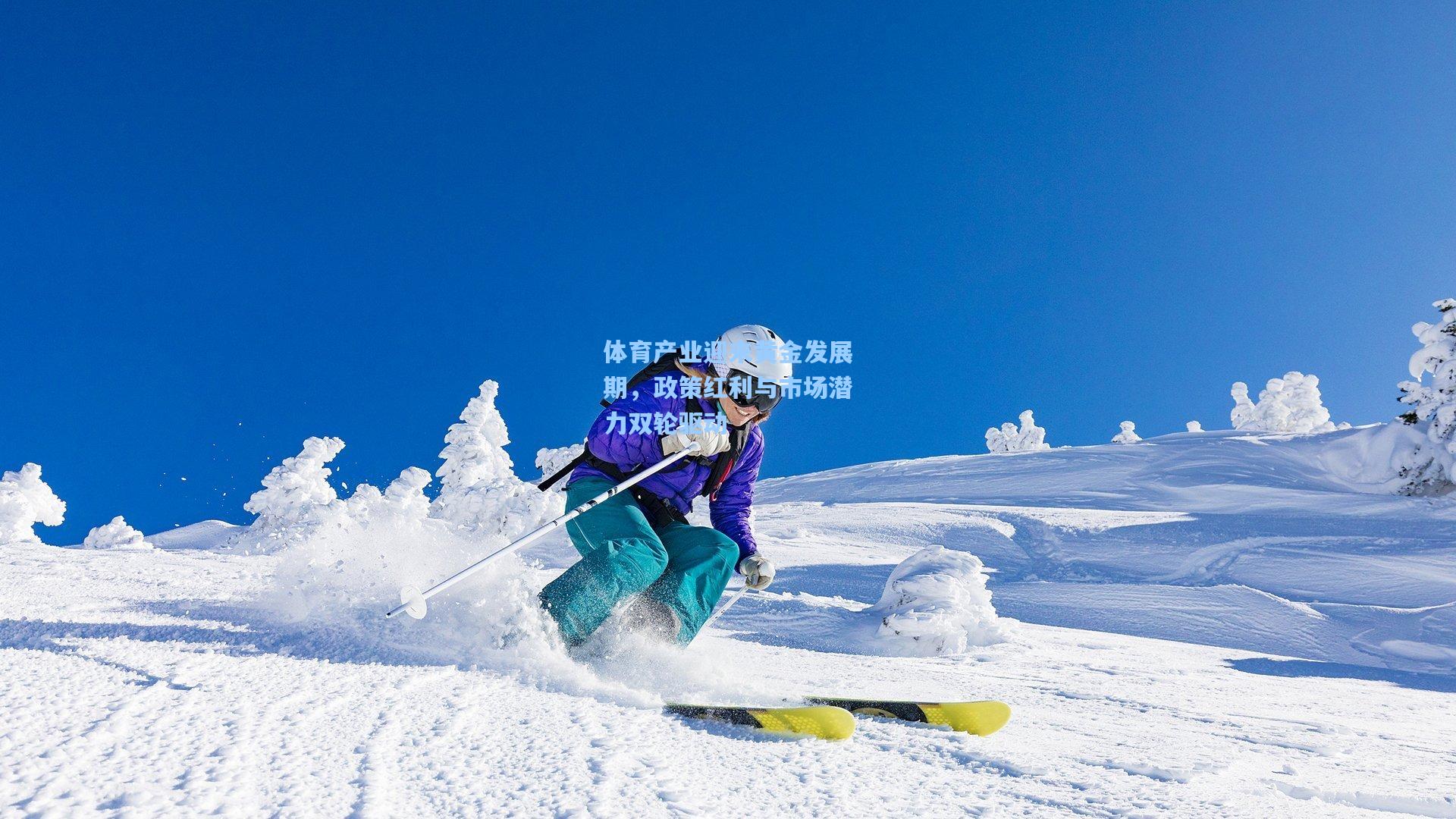 体育产业迎来黄金发展期，政策红利与市场潜力双轮驱动